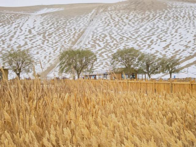 自然观察 | 鸣沙山月牙泉迎来初雪！沙与雪的秘境私语，美到心醉