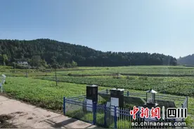 简阳市:打造无人农场丘区示范 助推产业提质增效图片