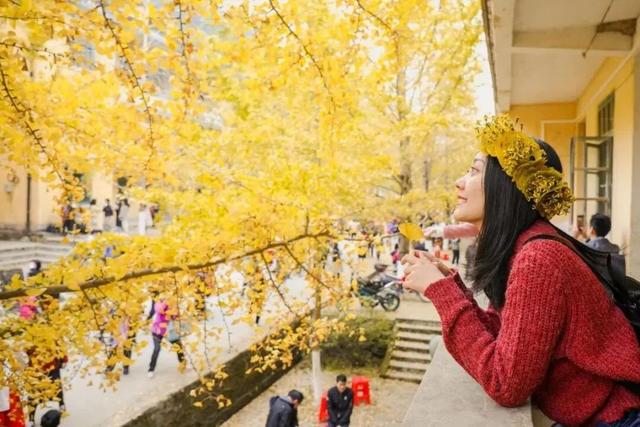 初冬胜春，韶关最美季来了，快来打卡