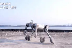 宇树科技再出圈 民用机器狗有望在巡检、消防救援场景率先放量图片