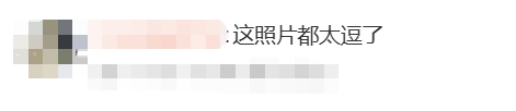 演员沈腾的QQ空间被盗？大量早期照片曝光！官方回应：鹅什么也不知道，反正腾哥的身材很曼妙
