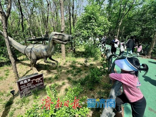 一年四季 泉在济南丨野趣盎然动物园