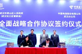 青山区人民政府与武汉电信联手打造“智慧新青山”图片