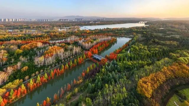 重返20°C+，洛阳极品好天气！速速出门！