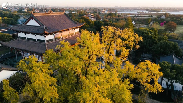 N重惊喜~南湖的周末，无限欢乐！