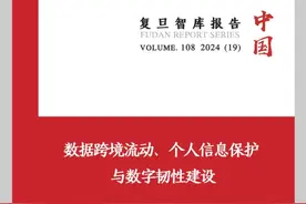 复旦智库报告｜数据跨境流动、个人信息保护与数字韧性建设图片
