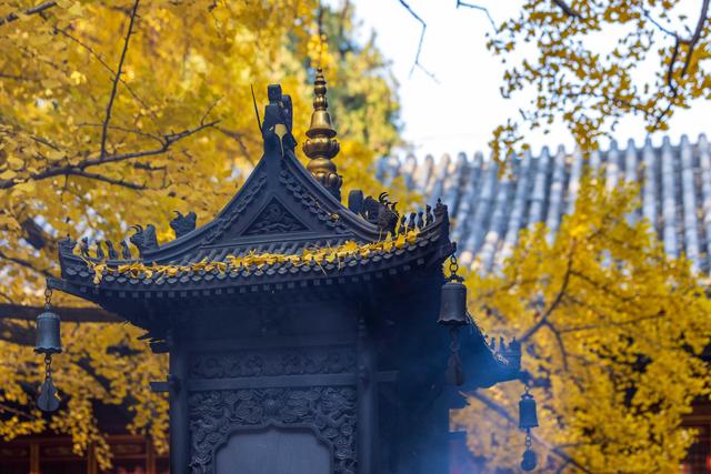 北京八大处大悲寺：银杏撒“金”映古建