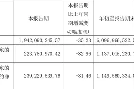 桂冠电力：2023年前三季度净利润11.37亿元 同比下降64.66%图片