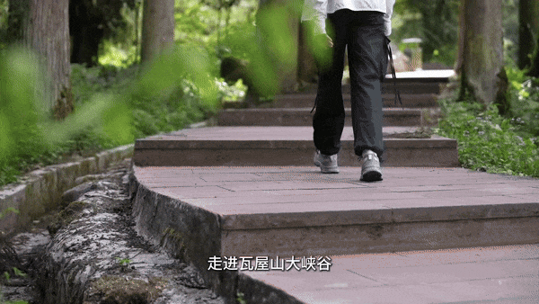 封神！跟着【百万级博主】游瓦屋！博主、达人享景区超值福利！