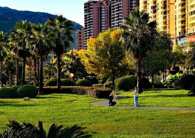 秋天的陇南，有什么好看的？