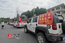 沅陵保险出钱出力帮农民灾后补种图片