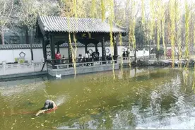 听过《风雨兼程》么？每次听我都会双目暖流充盈图片