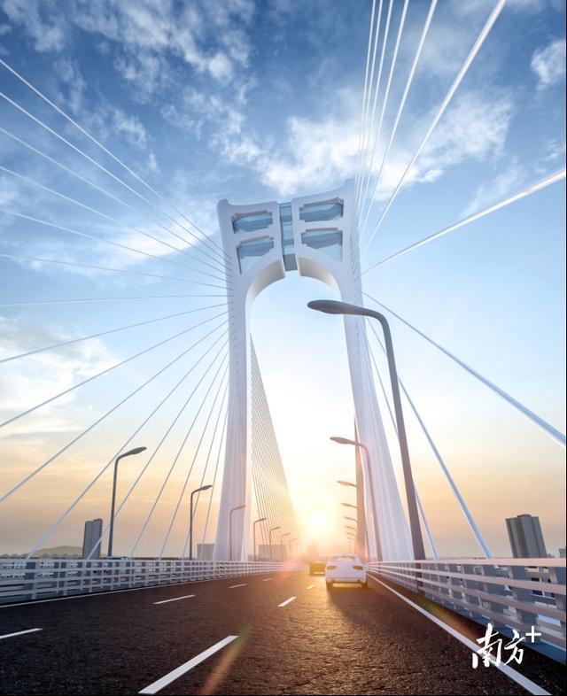 椰汁花胶西米露 2025年花胶西米露的做法大全