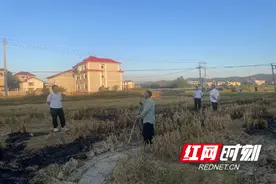 卢峰镇：筑牢绿色防线 守护家园安全图片
