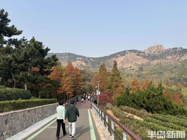 浮山南麓，藏着青岛最美冬日