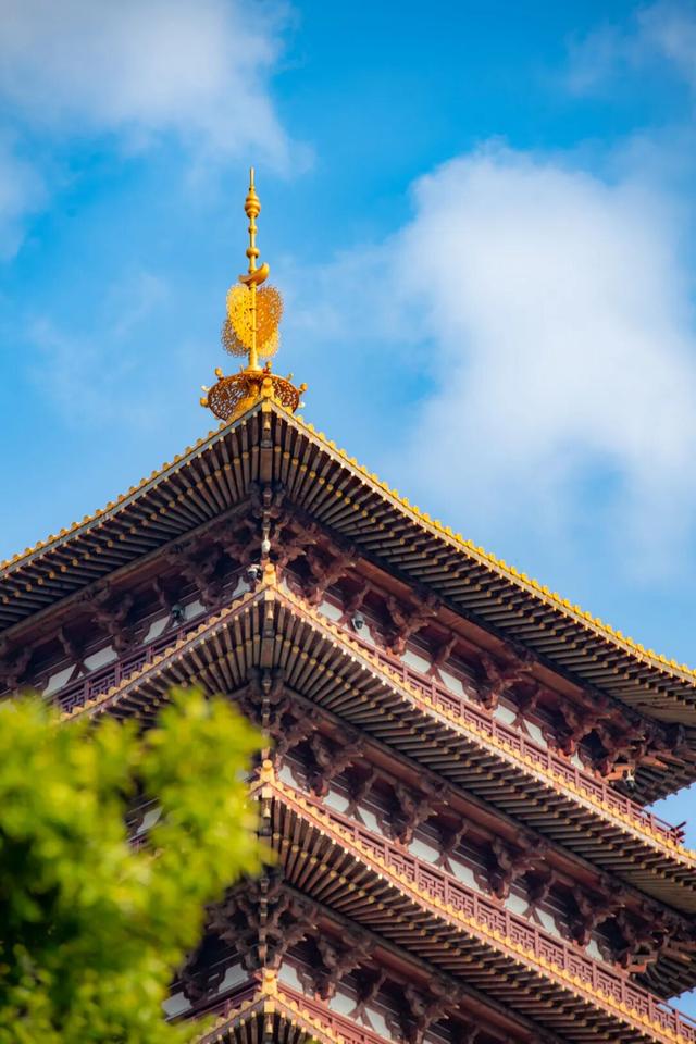 跟着这条线路，周末赏秋去！