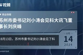 苏州市委书记刘小涛会见科大讯飞董事长刘庆峰视频封面