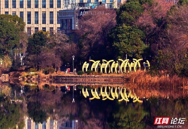 漫步神农湖：在城市的喧嚣边缘，寻一方安宁