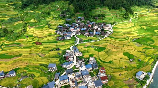 粤桂协作丨千人水中抢鸭 融水农文旅再掀热潮
