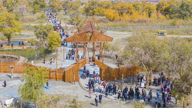 新疆：沙漠胡杨入画来