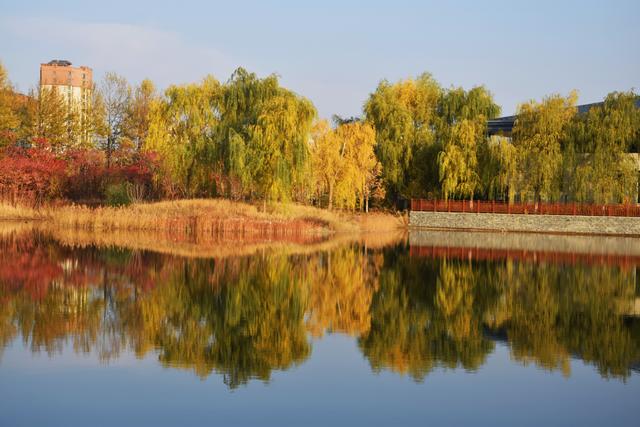 组图丨初冬临武威 飞燕湖静美