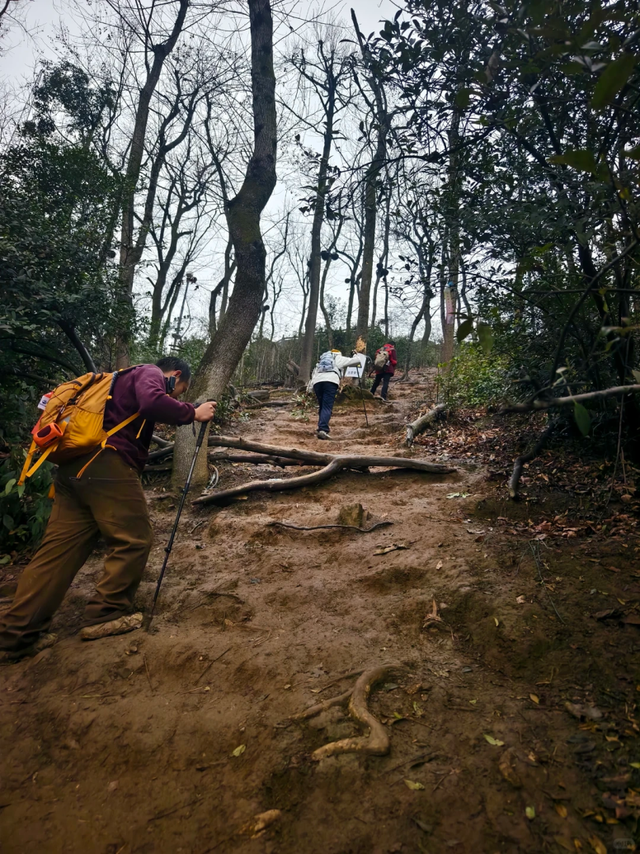 不要爬！岳麓山“画马”路线暗藏风险！