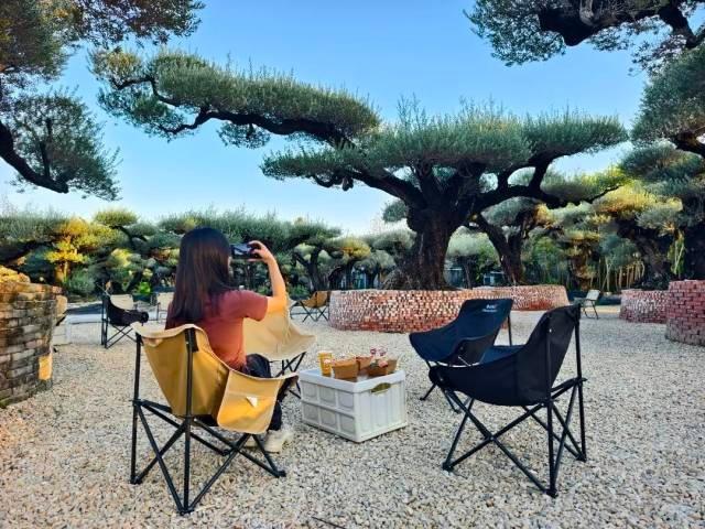 国庆就要玩好一点，“情”定陈村花花世界迷人眼
