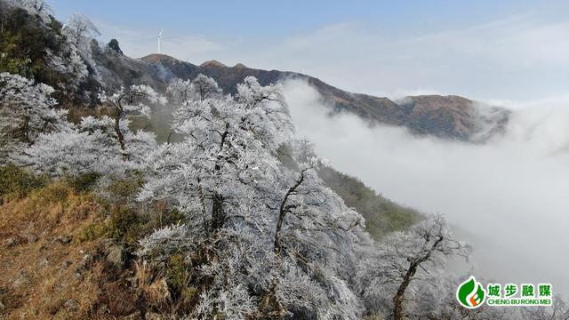 南山国家公园候选区现新年首场雾凇奇观