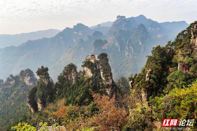 【每日一图@湖南】秋冬自驾必冲！张家界黄石寨暖阳峰林美到出圈