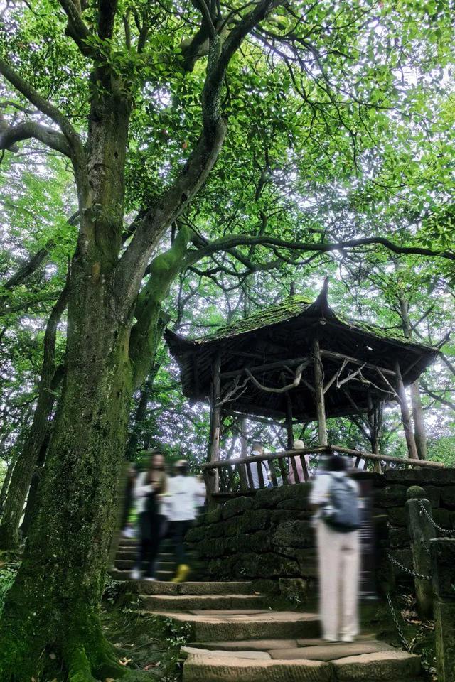 分分钟出大片！都江堰1️⃣5️⃣个被问爆的绝美机位，千万别错过~