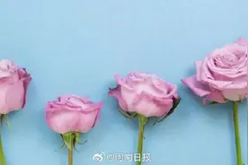 气血不足的人外表有4个特点图片