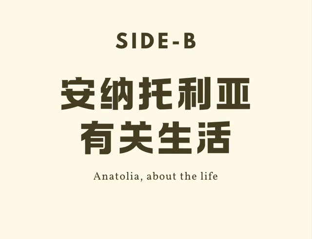伊斯坦布尔：博斯普鲁斯海峡的两面