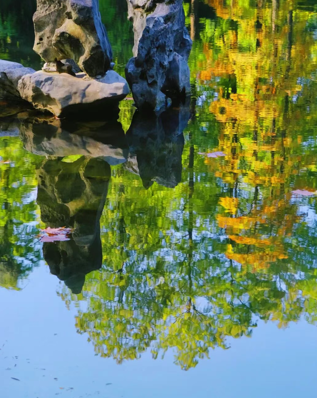 大降温后的秋日大片，来武汉植物园取景！这份小众胶片感机位请收好