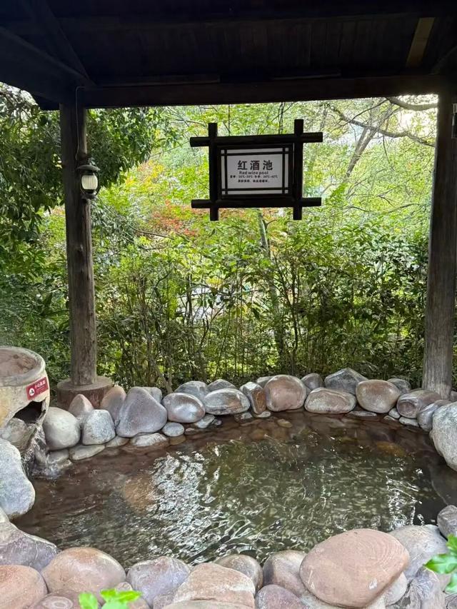 湖南绝美银杏打卡地，太出片了