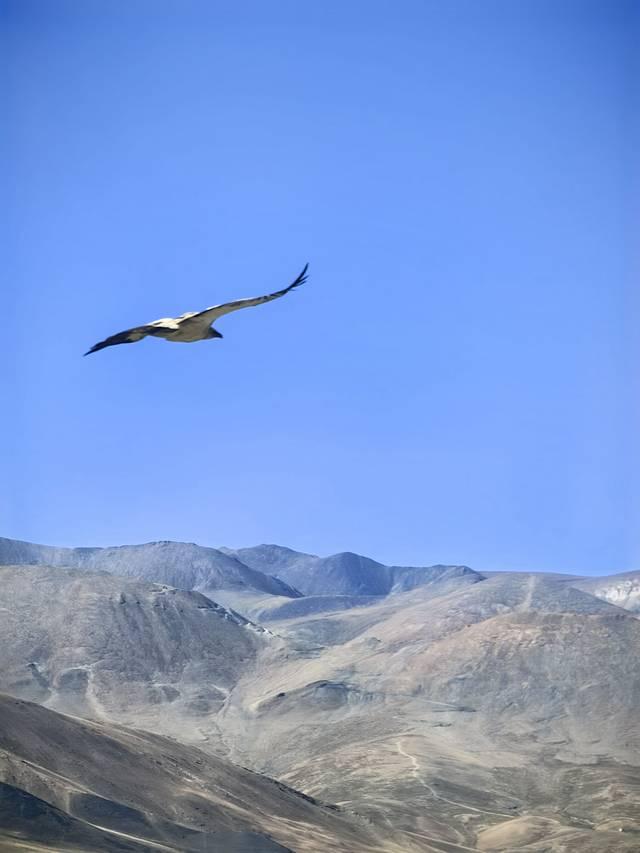 人生总要去一趟西藏吧（下）