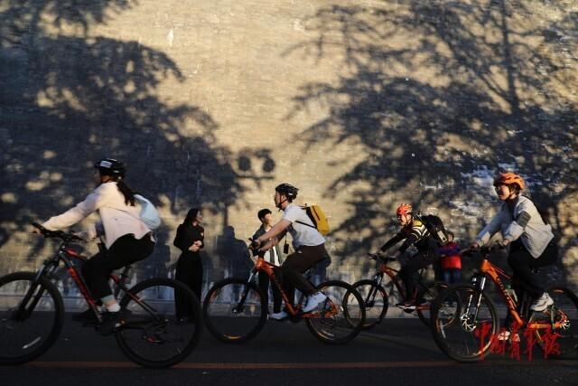 故宫角楼银杏黄