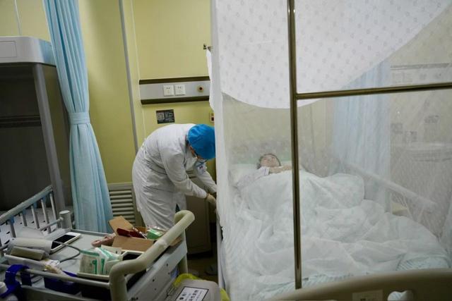佛山释放不咬人蚊子捕食咬人蚊子