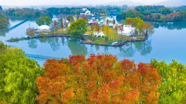 玩转西施跨年音乐节！吃喝玩乐，收藏这篇就够了→