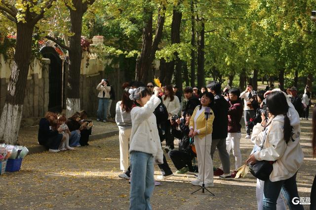 缓扫一片秋，赴青岛的五彩之约