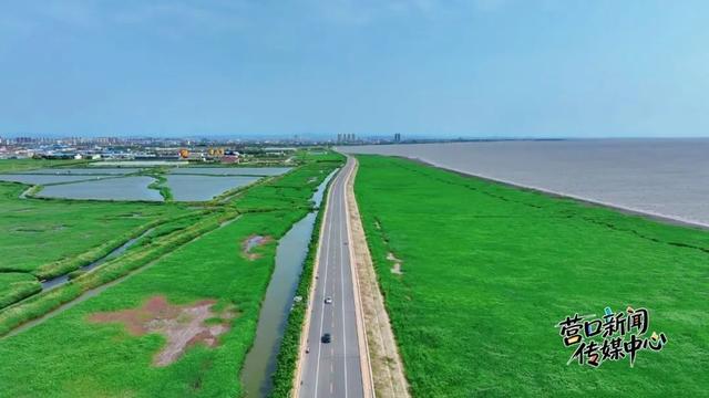 辽河文化产业带两段道路命名为“西海岸路”“老港街”