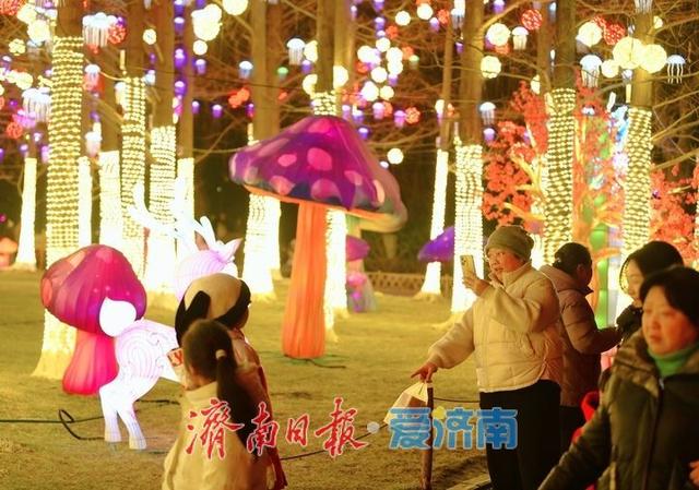 一年四季 泉在济南丨迎春花灯亮化测试，五龙潭公园点亮“花涧秘境”
