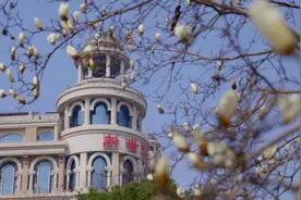 满城繁花，上海为何钟爱白玉兰？图片