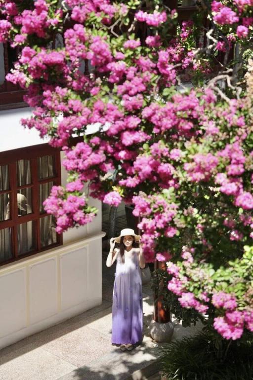 紫薇花开，来昆明邂逅夏日浪漫~