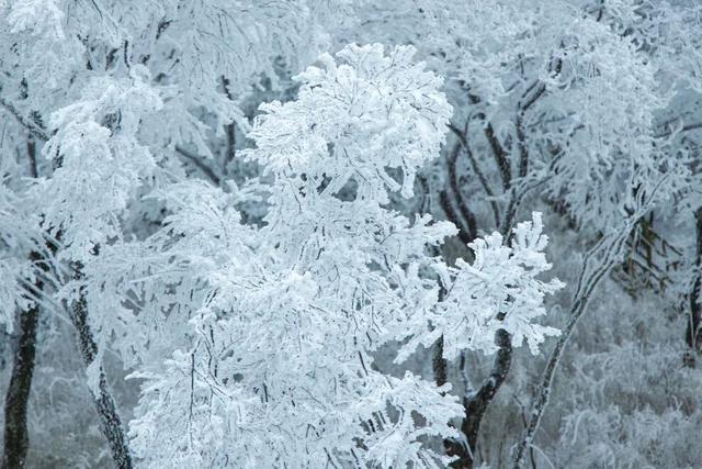 @南方小土豆！白云山免票福利来啦！邀你一起来看雪！