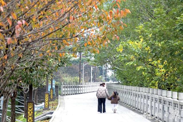 恩施市：城市初冬景色美