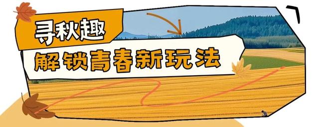 啊~秋！超绝龙城入“chill”指南～