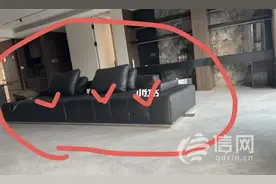 全真皮沙发变成“半真皮” 思肯家具称配皮也是皮图片