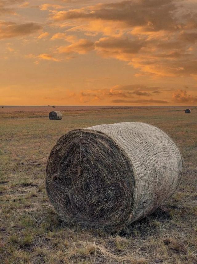 200元起飞！许多巴彦淖尔人都忍不住了......