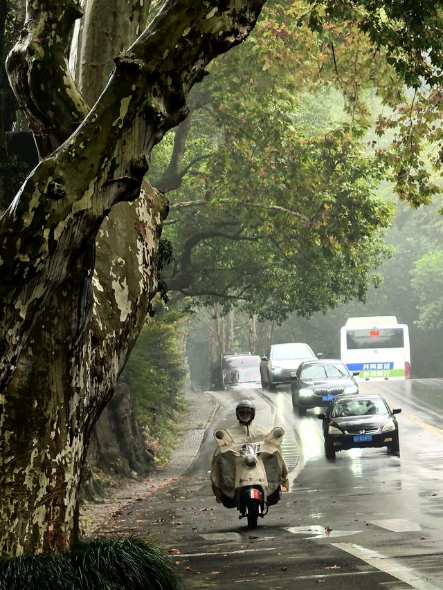 晚潮｜郭庄听雨