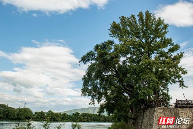 岁暖时刻丨寻访道县葫芦岩：我看见了历史与现实的并置